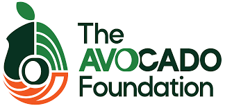 Avocado foundation.png